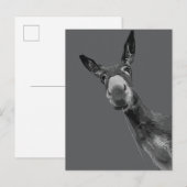 Grappige Donkey Grayscale Portretkunst Briefkaart (Voorkant / Achterkant)