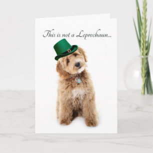 Grappige Doodle St. Patricks Dag Kaart