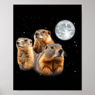 Grappige drie bosmarmot maan bosmarmotdag poster