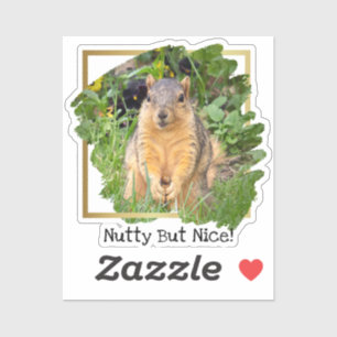 Grappige Eekhoorn Notig Maar Leuk Sticker