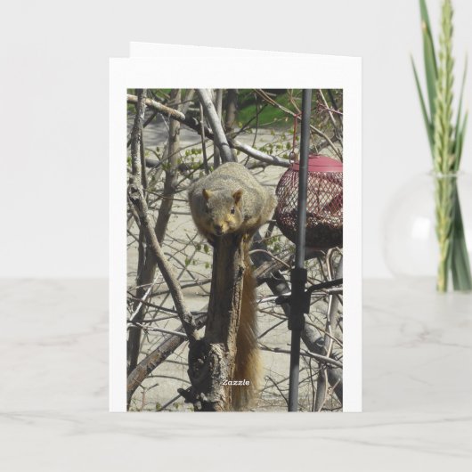 Grappige eekhoorn vriendschap kaart (Achterkant)