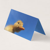 grappige eend in blauwe kaart visitekaartjes (Achterkant)