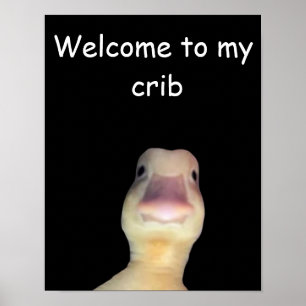 Grappige Eend Meme: Welkom in Mijn Huis Eend Poster