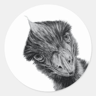 Grappige Emu Gezicht Sticker Zwart-wit Vogel Kun