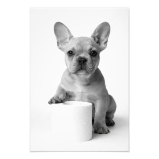 Grappige esthetische Franse Bulldog WC-papier Foto Afdruk