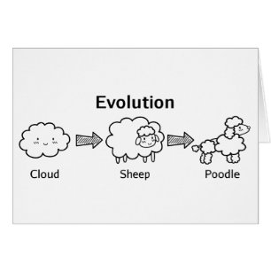 Grappige evolutie van wolk naar schaap en poedel
