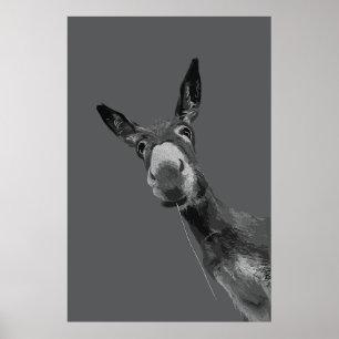 Grappige Ezel Grijswaarde Portret Kunst Poster