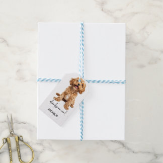 Grappige feestbar decoratiekussen cadeaulabel
