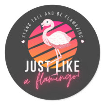 Grappige Flamingo T-shirts
