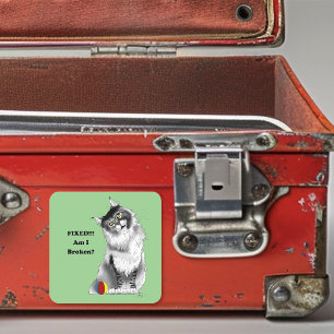 Grappige Fluffy Maine Coon Kat Groene Humor Vierkante Sticker