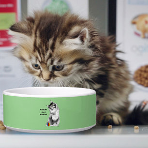 Grappige Fluffy Maine Coon Kat Groene Humor Voerbakje
