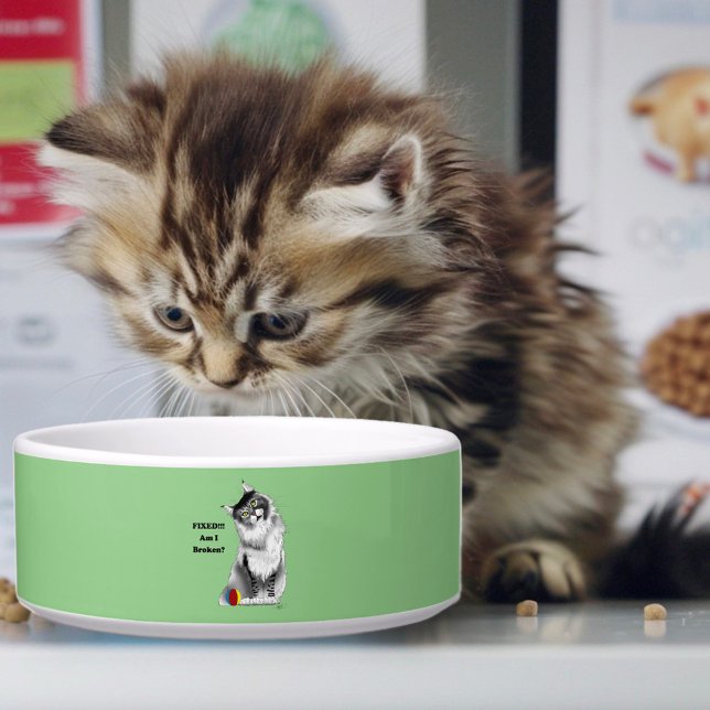 Grappige Fluffy Maine Coon Kat Groene Humor Voerbakje (Creator heeft geüpload)