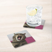 Grappige foto Cat Lover Vierkante Kartonnen Onderzetter (Insitu)