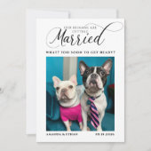 Grappige foto Hond-thema bruiloft Save The Date (Voorkant)