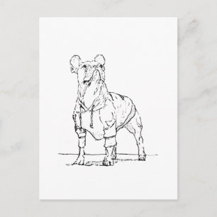 Grappige Franse Bulldog – Ik denk aan je Briefkaart