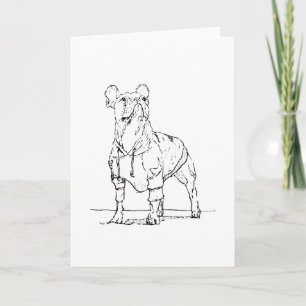 Grappige Franse Bulldog – Ik denk aan je Kaart