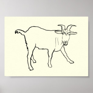 Grappige Geite Tekening Vreemde Cartoon Boerderij  Poster