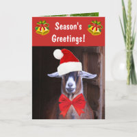 Grappige geiten kerstgroet