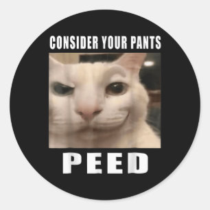 Grappige Gekke kattenmemes van 919 Design beschouw Ronde Sticker