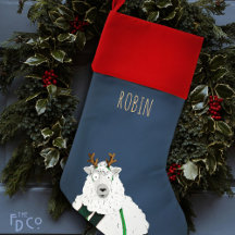 Grappige gekke vakantie schapen | Blauw