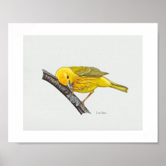Grappige gele Warbler Art Print
