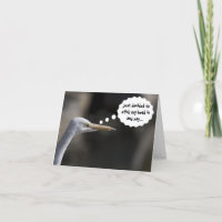 Grappige Gelukkige Verjaardag Witte Kraanvogel Kaa