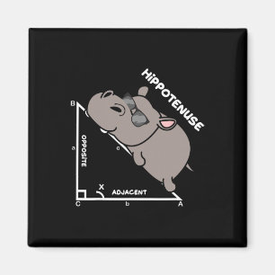 Grappige Geometrie Hypotenusa Wiskunde Wiskunde Do Magneet