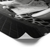 Grappige Giraffe op de WC Poster (Hoek)