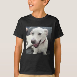 Grappige glimlachende hondenfoto met rode halsband t-shirt