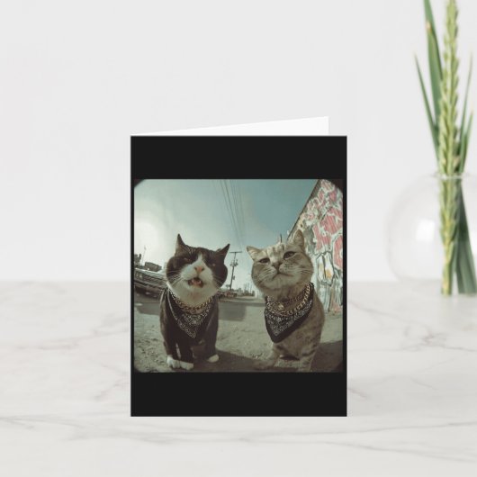 Grappige Grafische Kat Gangster Grappig _2  Kaart (Voorkant)