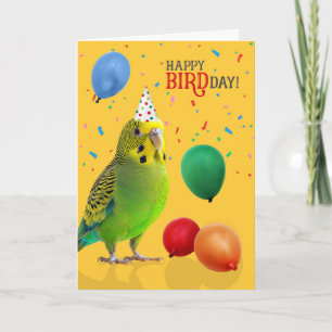 Grappige groene en gele Budgie-parkiet verjaardag Kaart