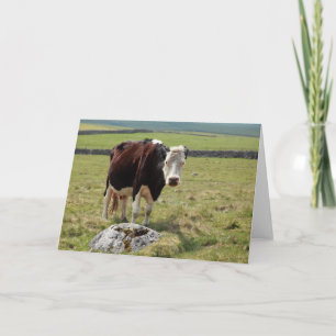 Grappige groetenkaart kaart