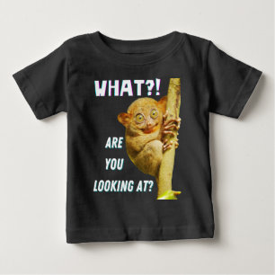 Grappige Grote Ogen Tarsier Waar Kijk Je Naar