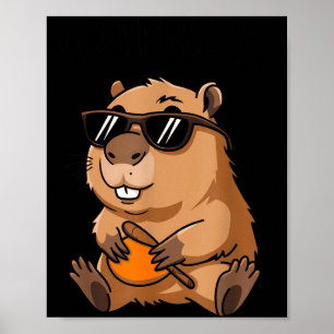 Grappige Groundhog Ok Ik Kom Er Aan Sungles Poster