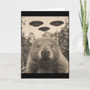 Grappige Groundhog Selfie Met Ufos Rare Groundhog Kaart
