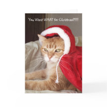 Grappige Grumpy Ginger Cat Christmas Kaart Humor