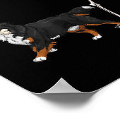 Grappige Halloween Berner Sennenhond en skelet Poster (Hoek)