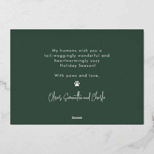 Grappige Harige Kerstman Hond Huisdier Moderne Poo Folie Feestdagenkaart (Achterkant)