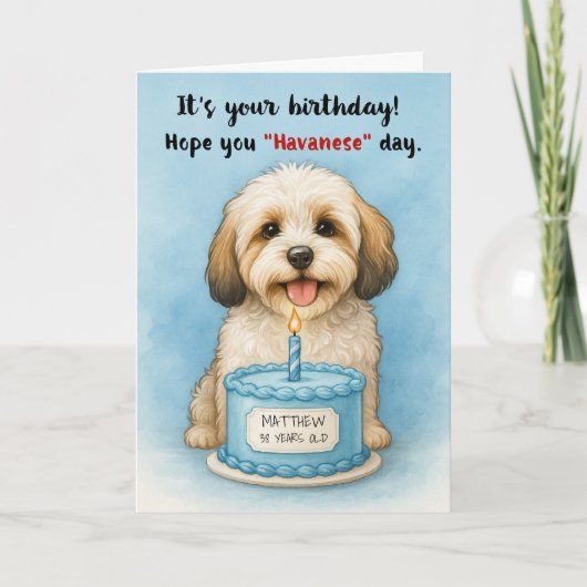 Grappige Havanese Hond Verjaardag met aangepaste n Kaart (Voorkant)