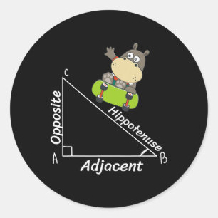 Grappige Hipo Skater Geometrie Hypotenuse Wiskunde Ronde Sticker