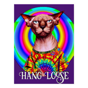 Grappige Hippie Sphynx Kat Perfect Poster