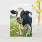 Grappige Holstein Koe voor de verjaardag Kaart (Gele Bloem)