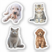 grappige hond en kat sticker (Voorkant)