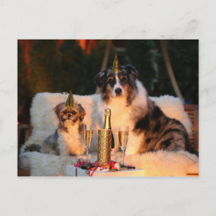 Grappige hond Happy New Year's Eve Foto Briefkaart