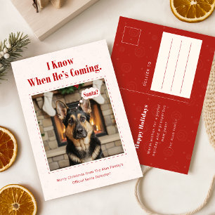 Grappige hond huisdier foto kerst vakantie kerstka feestdagenkaart
