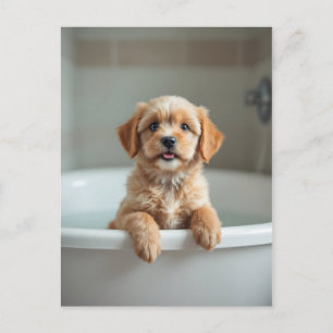 Grappige hond in badkamer briefkaart