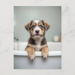 Grappige hond in badkamer briefkaart