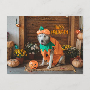 Grappige Hond in Halloween Kostuum Feestdagenkaart