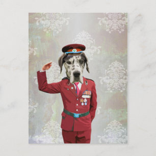 Grappige hond in rood uniform briefkaart