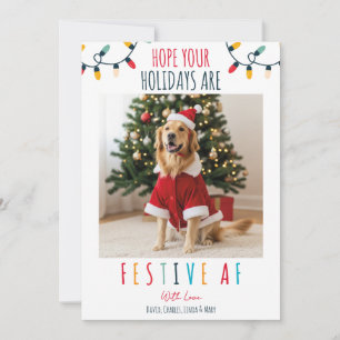 Grappige Hond Kat Huisdier Foto Kerst Feestelijke Feestdagenkaart